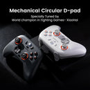 Gamepad GameSir Nova Lite 2 sem fio